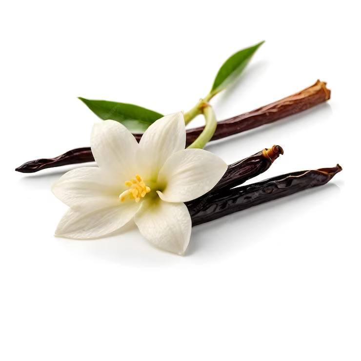 vanilla-1a